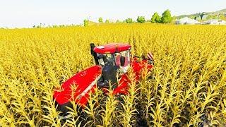 Literally Filling the Entire World with Corn - Farming Simulator 19