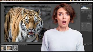 My Lightroom Wildlife PureRAW 4 Workflow