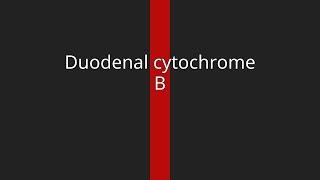 Duodenal cytochrome B