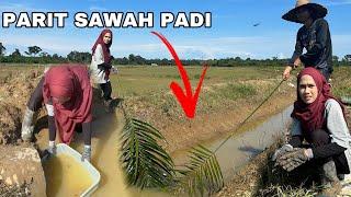 ROZEK CARI IKAN KAT PARIT SAWAH ⁉️ Hasil nya akan repeat lagi 