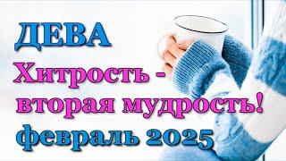 ДЕВА - ТАРО ПРОГНОЗ на ФЕВРАЛЬ 2025 - ПРОГНОЗ РАСКЛАД ТАРО - ГОРОСКОП ОНЛАЙН ГАДАНИЕ