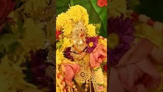 Varamahalakshmi Pooja #lakshmi #varamahalakshmi #varamahalakshmidecorationideas #trending #shorts