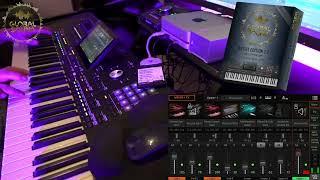 GLOBAL SOUND ARTIST EDITION KORG Pa5X