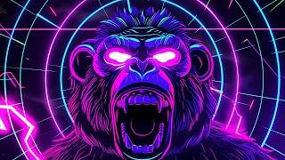 Minimal Techno & Minimal House 2024 - Illusion Monkey [Radio Stream]