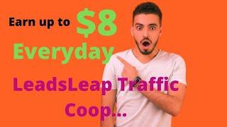 How to earn up to $8 every day with LeadsLeap