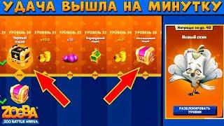 ФУЛЛ БОЕВОЙ ПРОПУСК!!! УДАЧА НАКОНЕЦ ПРИШЛА? В ИГРЕ ZOOBA