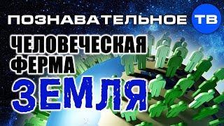 Человеческая ферма Земля (Познавательное ТВ, Артём Войтенков)