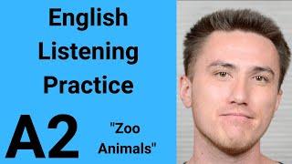 A2 English Listening Practice - Zoo Animals