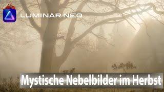 Mystische Nebelbilder im Herbst mit Luminar Neo