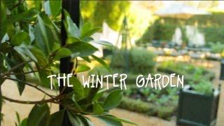 Beth's Winter Vegetable Garden Tour 2015 | IN BETH'S GARDEN