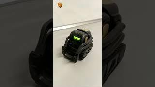 Amazing Mini Robot  #shorts #robot #funny