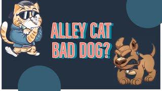 Alley Cat, Bad Dog?