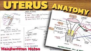 Uterus Anatomy - 1 | Parts of Uterus | Abdomen