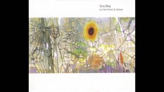 In the Summer - Terry Riley