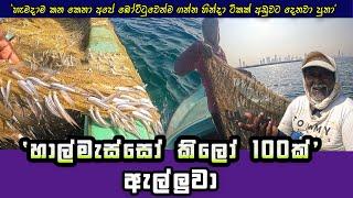 Hurray ! We Caught 100Kg Of Fish in Sri Lanka I SL Fisherman (Part 02)