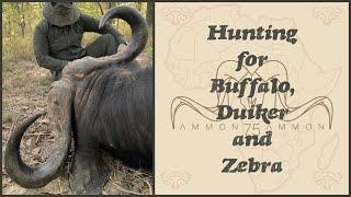 Hunting for Buffalo, Duiker and Zebra