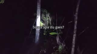 CAMPING HOROR MASUK LEBIH DALAM KE HUTAN SARANG PARA JIN  DI TEROR PENGHUNI ASLI HUTAN