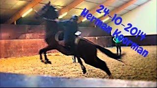 Praktisch met paarden: HD Herman Koorman ZADELMAK MAKEN