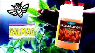 Canna CalMag   Erklärt 