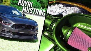 ROYAL MUSTANG  by SyniX & Mystisches Lama  ( prod. by JNSPTRS )