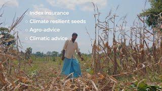 Hi-tech support helps Sri Lanka's farmers navigate the climate crisis | IWMI