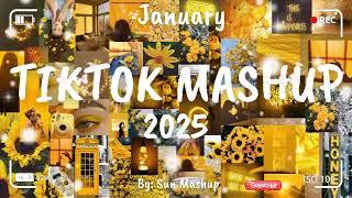 Tiktok Mashup January 2025 (Not Clean)