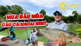 MƯA ĐẦU MUA, CÁ KHOAI NTN? HỒ NGON LIỆU CÓ KHÁC?