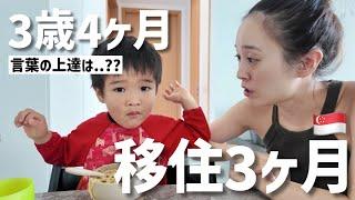 【海外育児】平日は英語漬け！息子のトリリンガル教育の進捗は…??!! 【3歳4ヶ月】