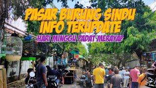 SURVEI HARGA DAN JENIS BURUNG TERKINI DI PASAR BURUNG SINDU MATARAM