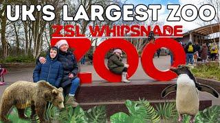 Whipsnade Zoo - The UK’s Largest Zoo