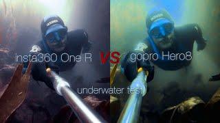 Review: insta360 One R 1 inch vs gopro hero8 underwater