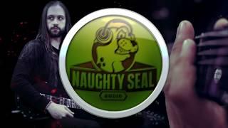Naughty Seal Audio - Perfect Drums Plugin
