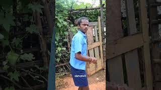 Bastariya New Halbi Comedy Video ||3 September 2024