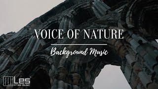 Voice of Nature  / Acoustic Guitar Folk Background Music (Royalty Free)