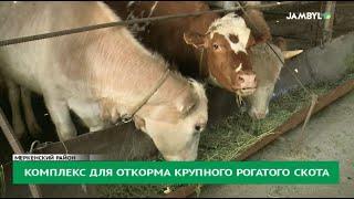 Комплекс для откорма крупного рогатого скота