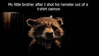 Average Hamster Death | Rocket Crying meme