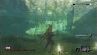 Sekiro™: Underwater Headless Easy way!