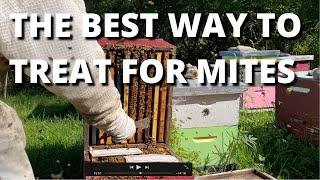 The best way to treat for mites