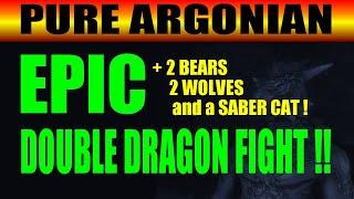 Skyrim PURE ARGONIAN BUILD Walkthrough Part 22: EPIC DOUBLE DRAGON FIGHT!! (+ Soul Tear Shout)