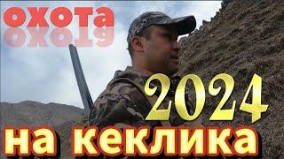 ОХОТА НА КЕКЛИКА: ОК ЖАКШЫ БОЛБОЙ ЖАТАБЫ ИЛИ МЕНБИ #охота #охотанакеклика #ЧЫНГЫЗ ШЕР