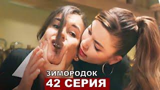 ЗИМОРОДОК 42 серия русская озвучка