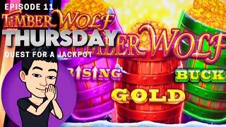 TIMBER WOLF THURSDAY!  [EP 11] QUEST FOR A JACKPOT! TIMBER WOLF TRIPLE POWER Slot Machine