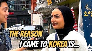 What Brought You To South Korea?