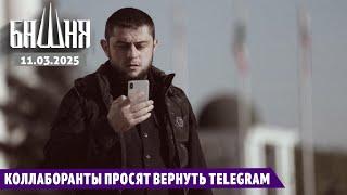 Коллаборанты просят вернуть Telegram [11.03.2025] Новости | Ахмед Самедов