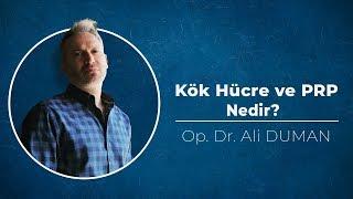 Kök Hücre ve PRP Nedir? Nasıl Uygulanır?