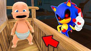 Baby and SONIC.EXE Play Hide and Seek!