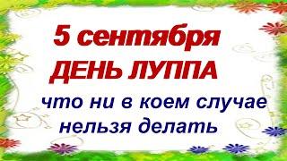 5 сентября.ДЕНЬ ЛУППА.Важно принимать все таким, как есть.Народные приметы