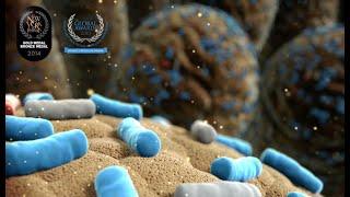 CLOSTAT - Probiotics - Kemin - Cortical Studios | MoA Animation