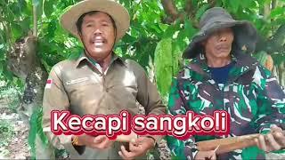 sangkoli irama kecapi bugis