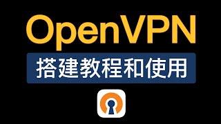 OpenVPN搭建教程，操作简单，服务器搭建教学，windows翻墙 openvpn connect使用教程，openvpn how to use?